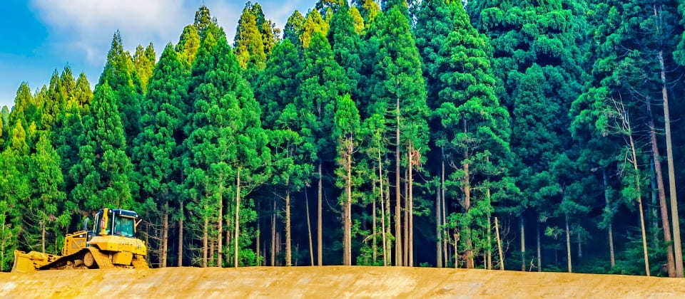slide_1.jpg